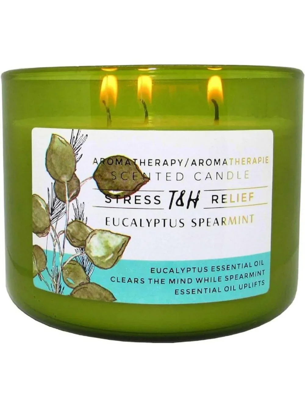 Large Eucalyptus Spearmint Soy Candle | 3 Wick Aromatherapy | Relaxation Gift